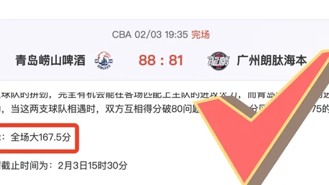 NBA专栏：状态火热，胜负总分详细解析