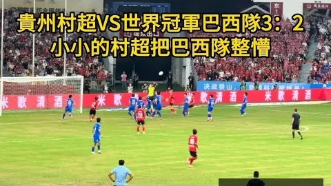 荷蘭足球巨頭費耶諾德：荷甲之冠，歐洲足壇的驚世之作！